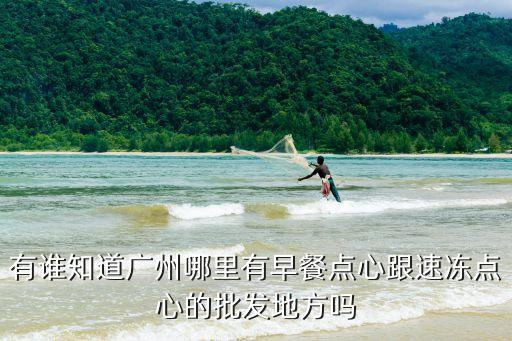 有誰知道廣州哪里有早餐點心跟速凍點心的批發地方嗎