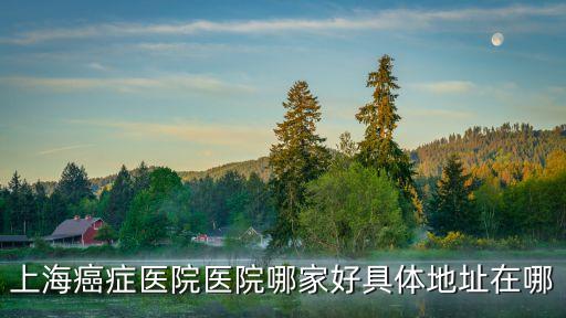 上海市徐匯區東安路131號東1號樓，徐家匯附近的證券交易所位置