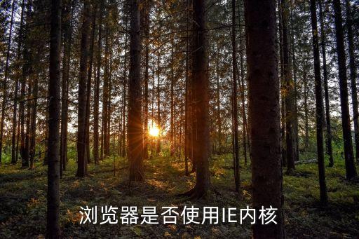 搜狗瀏覽器內核，瀏覽器是否使用IE內核
