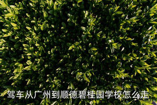 廣州順德碧桂園濱江路學(xué)校，駕車從廣州到順德碧桂園學(xué)校怎么走