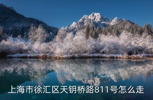 上海市徐匯區(qū)天鑰橋路811號(hào)怎么走