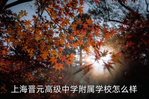上海市高級(jí)中學(xué)附屬學(xué)校，RTA少年組成員分別在哪里上學(xué)