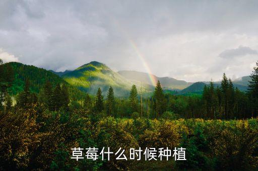 草莓什么季節(jié)種，草莓在哪個季節(jié)種