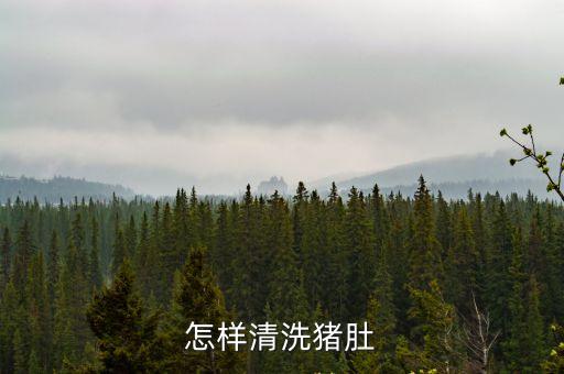 怎樣清洗豬肚