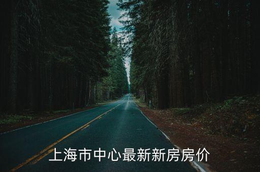 上海市最新房源信息，上海市中心最新新房房價