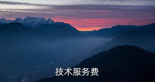 技術(shù)服務(wù)費(fèi)
