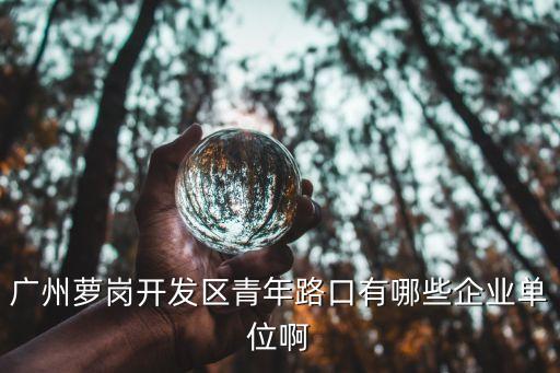 廣州蘿崗開發區青年路路口，廣州蘿崗開發區青年路口有哪些企業單位啊