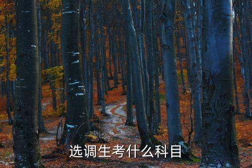 2020年上海市選調(diào)生考試科目，選調(diào)生考什么科目