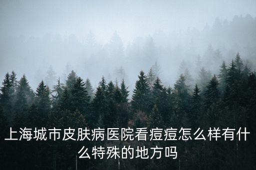 上海城市皮膚病醫院看痘痘怎么樣有什么特殊的地方嗎