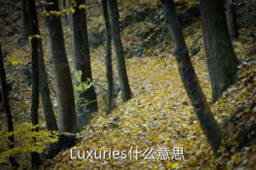 luxuries，奢侈品 英文怎么說
