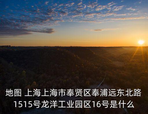 地圖 上海上海市奉賢區奉浦遠東北路1515號龍洋工業園區16號是什么