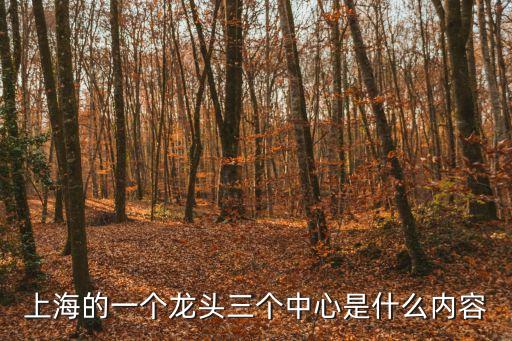 上海的一個龍頭三個中心是什么內(nèi)容