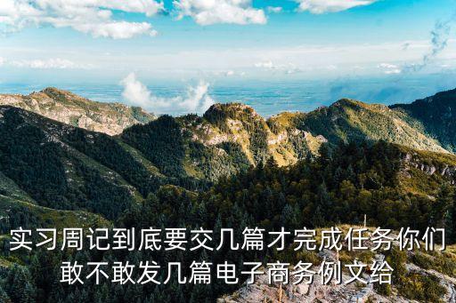 電商實習周記，電子商務實習日志怎么寫