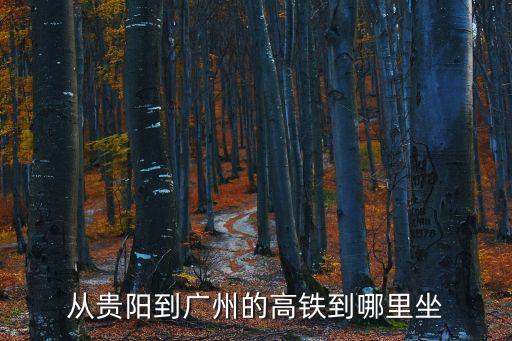 從貴陽到廣州的高鐵到哪里坐