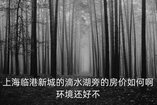 上海市臨港區(qū)域房價(jià)，臨港新城老蘆公路江山路樓盤現(xiàn)在新房房價(jià)是多少錢一個(gè)平方