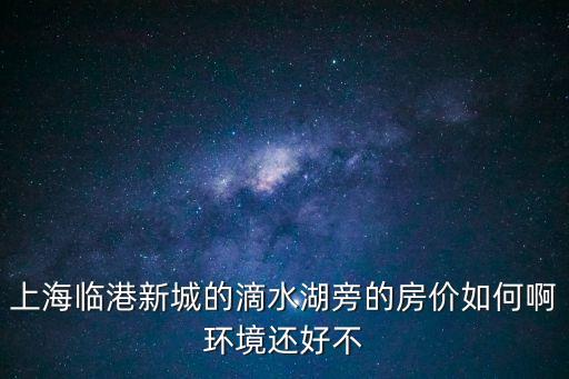 上海市臨港省房價，臨港新城老蘆公路江山路樓盤現在新房房價是多少錢一個平方