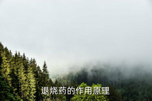 退燒藥原理，退燒藥的作用原理