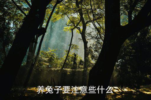 養(yǎng)兔子要注意什么，養(yǎng)兔子要注意什么事項