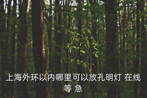 在上海市區(qū)里面可以放孔明燈么，上海允許放空明等嘛