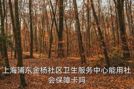 上海浦東金楊社區(qū)衛(wèi)生服務(wù)中心能用社會保障卡嗎