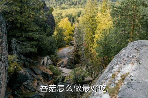 香菇的吃法，香菇可以怎樣做來吃