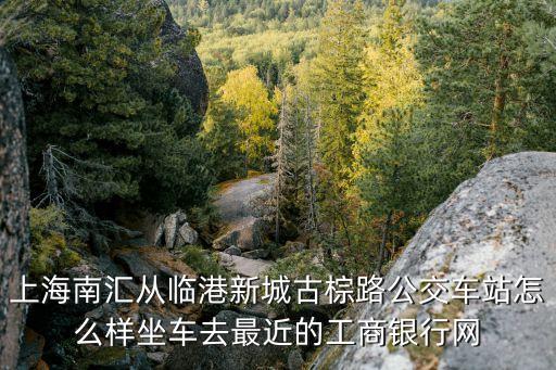 中國工商銀行上海市臨港支行，中國工商銀行 臨港支行怎么樣