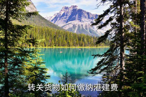 廣州南沙貨運碼頭港建費，聽說10月1號開始廣州南沙新港要收港建費了到底要收多少啊