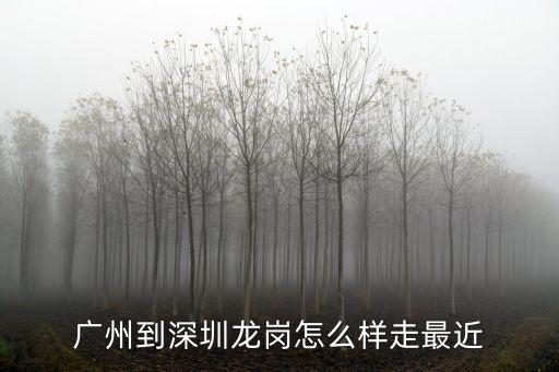 廣州到深圳龍崗區怎么走最近，誰知道從廣州白云區到深圳龍崗區怎么去給條線路大巴地鐵