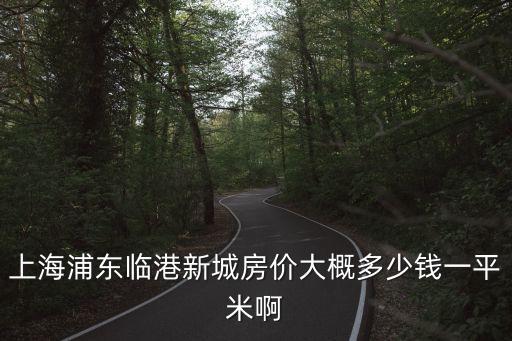 上海浦東臨港新城房價大概多少錢一平米啊