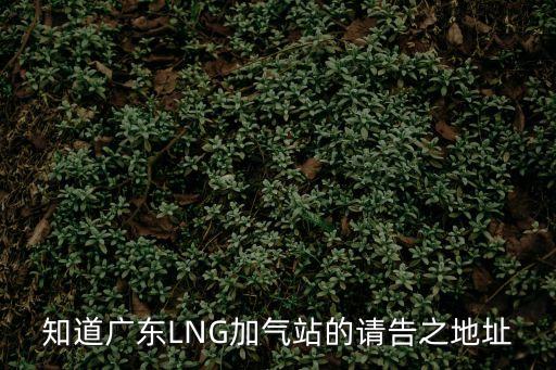 廣州白云區(qū)龍湖lng加氣站地址，知道廣東LNG加氣站的請告之地址