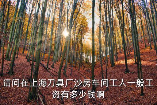 請(qǐng)問在上海刀具廠沙房車間工人一般工資有多少錢啊