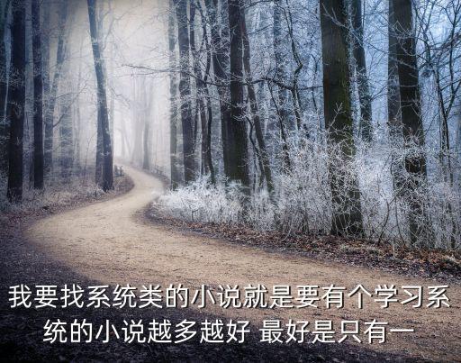 我要找系統類的小說就是要有個學習系統的小說越多越好 最好是只有一