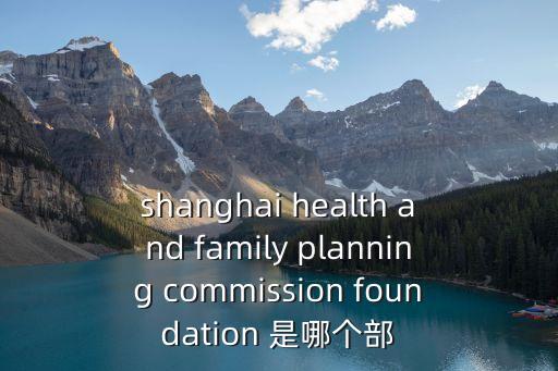 上海市衛生健康基金會，上海市醫療救助