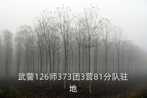 武警126師373團3營81分隊駐地