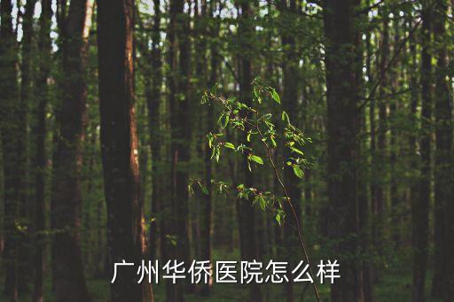廣州華僑醫院怎么樣