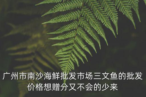 廣州黃沙三文魚今日報價，廣州黃沙水產市場價格