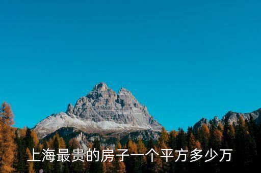 上海最貴的房子一個平方多少萬