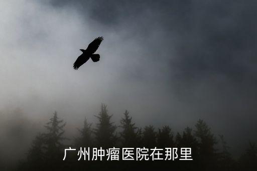 廣州腫瘤醫院在區莊哪個地鐵站，廣州腫瘤醫院在那里
