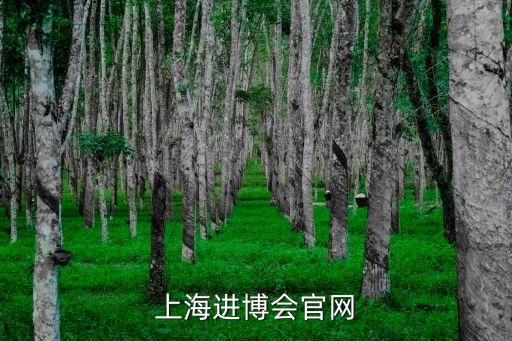 上海市進(jìn)博虹橋論壇，上海市博會(huì)