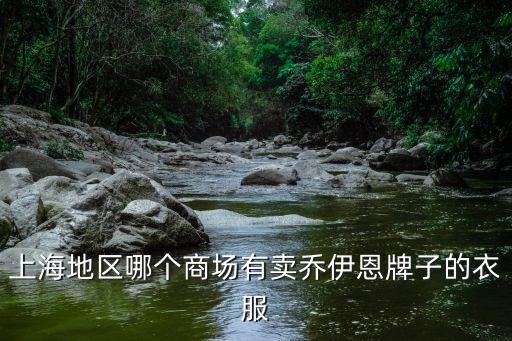 上海市卓笛商貿(mào)有限公司，上海市延安西路1088號(hào)長峰中心15樓1506室是什么公司