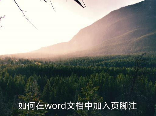 word添加腳注，word文檔里加入注腳怎么弄啊