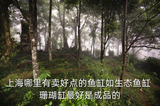 水陸缸在上海市場上，上海市場上能買到哪種陸龜