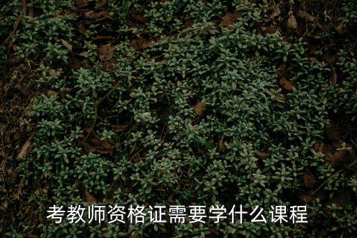 上海市教師資格專業(yè)課程，上海教師資格證三門專業(yè)課考試