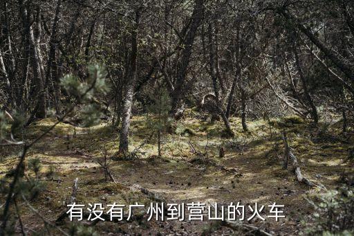 廣州到營山的火車票價，廣州到營山一共有幾趟列車