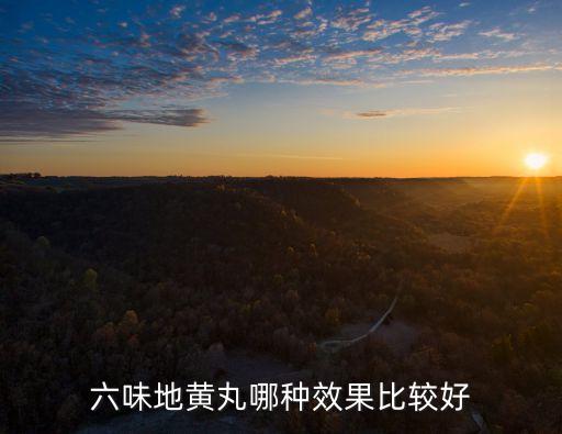 六味地黃丸有幾種，六味地黃丸哪種效果比較好