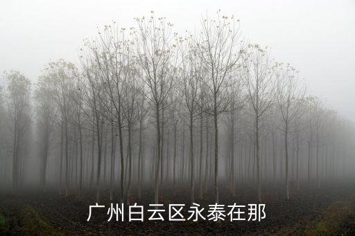 廣州白云區(qū)永泰官廳西街照片，廣州白云區(qū)永泰是什么街道