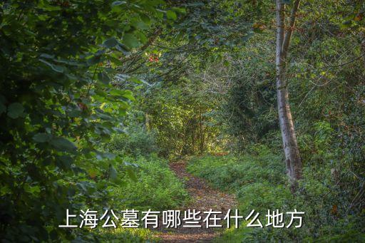 上海市 楓涇公墓，從青浦城區(qū)到楓涇公墓是高速公路還是地面道路遠(yuǎn)