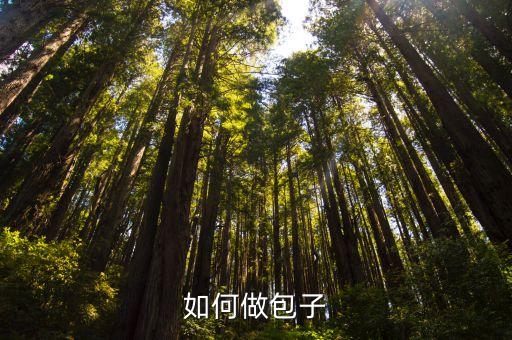 如何包包子，如何做包子