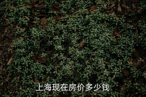 上海市銀龍小區房價多少，上海房價多少