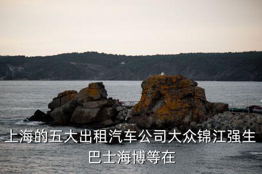 上海市出租汽車行業集，上海共有出租汽車公司有多少家